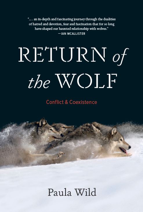 return of the wolf