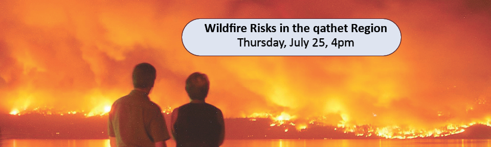 Local Wildfire Risks